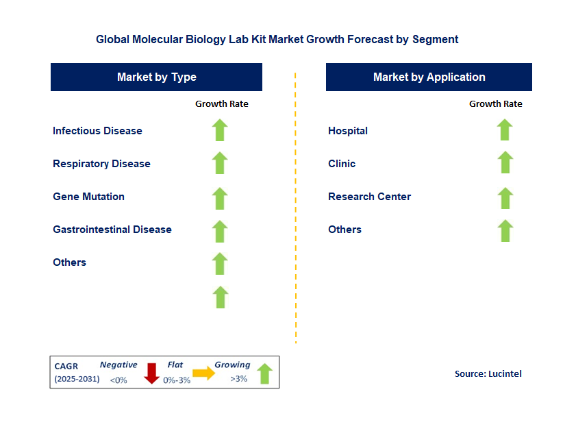 Molecular Biology Lab Kit Market by Segment